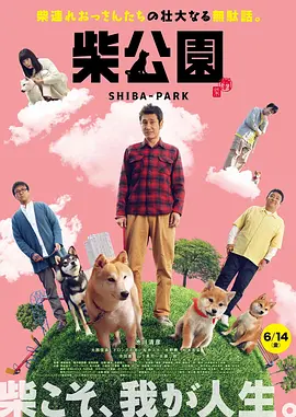 全集在线观看